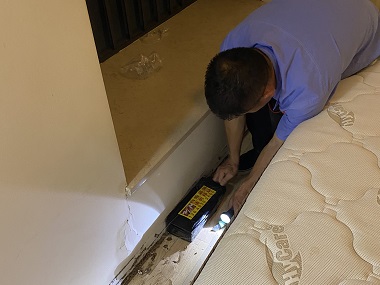 黄岐灭治白蚁中心住宅白蚁如何防治支支招