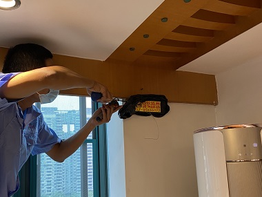 丹灶白蚁消杀所：白蚁会在家里侵害骚扰怎么办