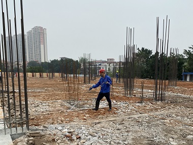 佛山白蚁备案中心地基防白蚁该怎么做才靠谱