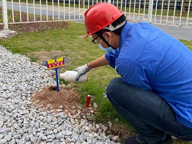 罗村红火蚁防治机构如何治理红火蚁危害